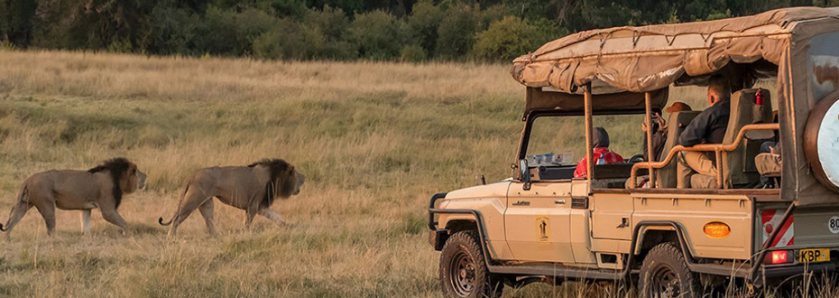 partez tranquille avec Gamewatchers safaris pour votre safari au Kenya