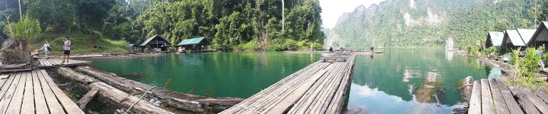 explorez la jungle de la Thailande